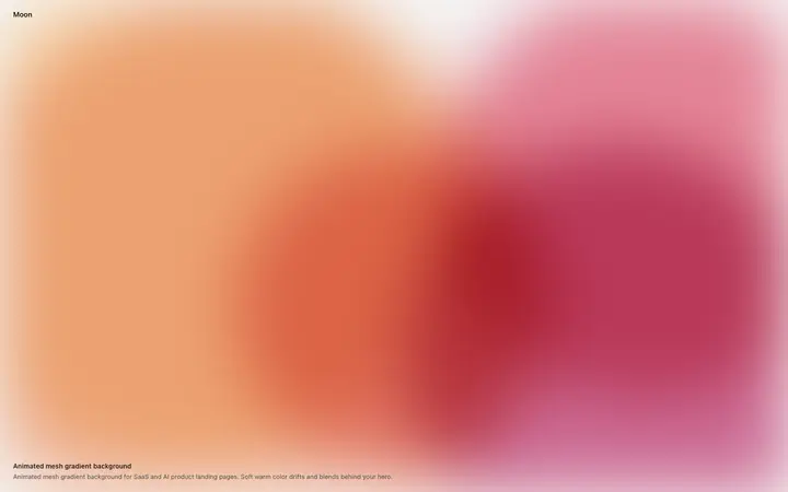 Animated mesh gradient background for SaaS